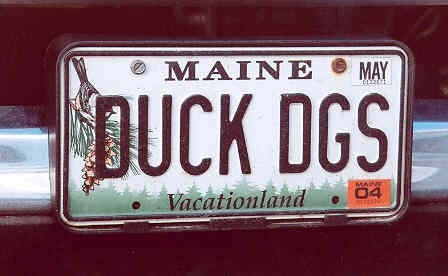 Dog Plates_442.jpg